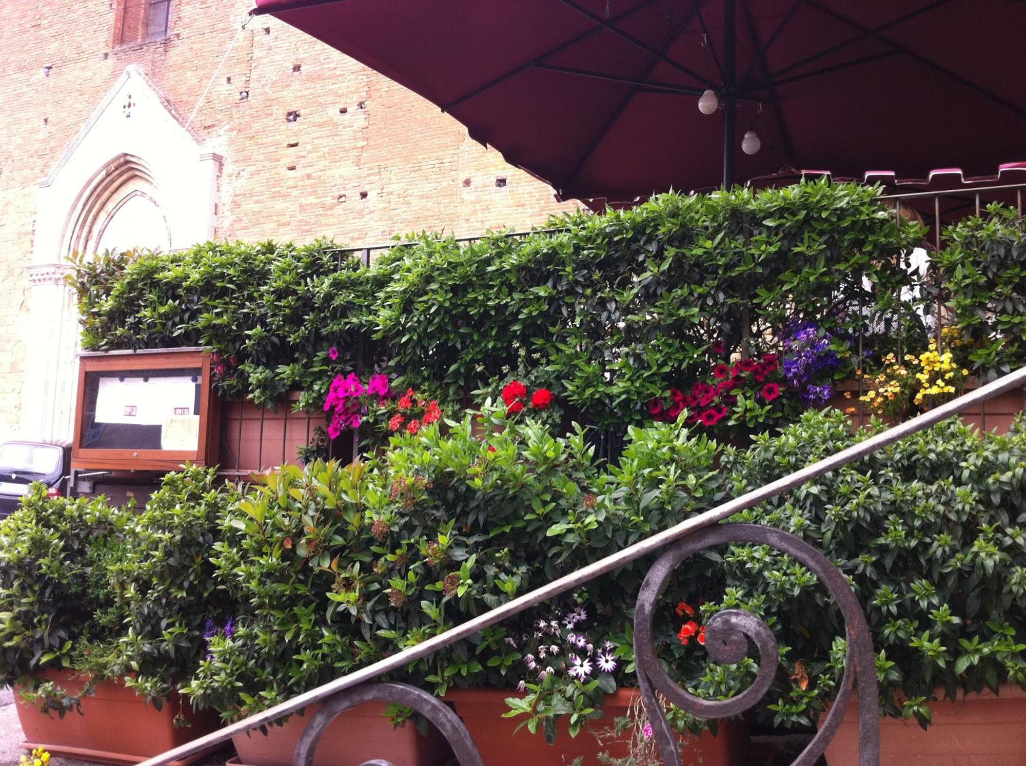 라 로칸다 디 샌 프란세스코 호텔 Montepulciano Stazione 외부 사진