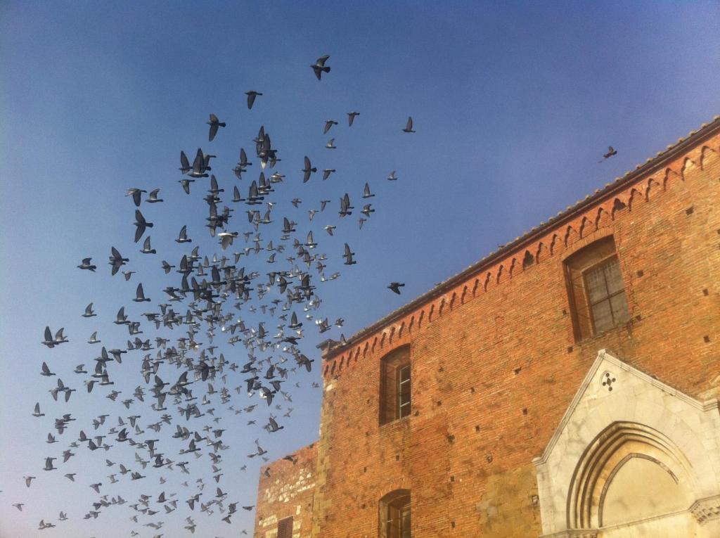 라 로칸다 디 샌 프란세스코 호텔 Montepulciano Stazione 객실 사진